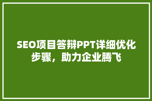 SEO项目答辩PPT详细优化步骤，助力企业腾飞