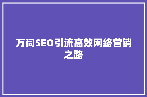 万词SEO引流高效网络营销之路