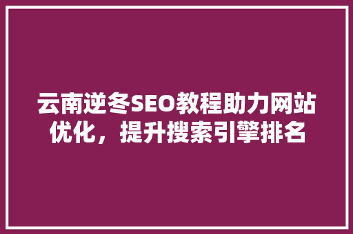 云南逆冬SEO教程助力网站优化，提升搜索引擎排名