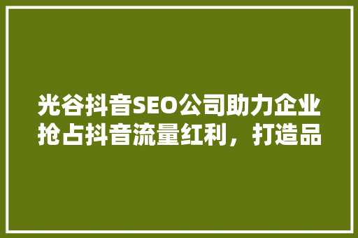 光谷抖音SEO公司助力企业抢占抖音流量红利，打造品牌影响力