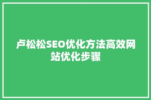 卢松松SEO优化方法高效网站优化步骤