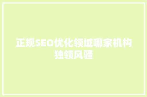 正规SEO优化领域哪家机构独领风骚