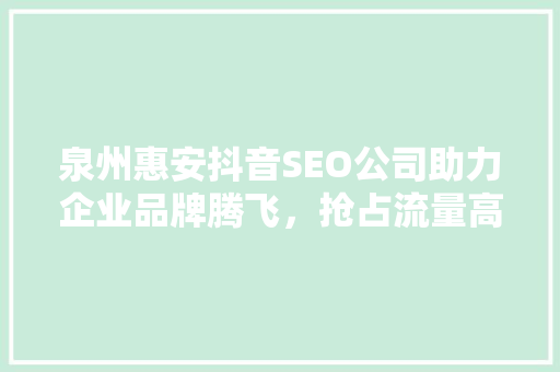 泉州惠安抖音SEO公司助力企业品牌腾飞，抢占流量高地