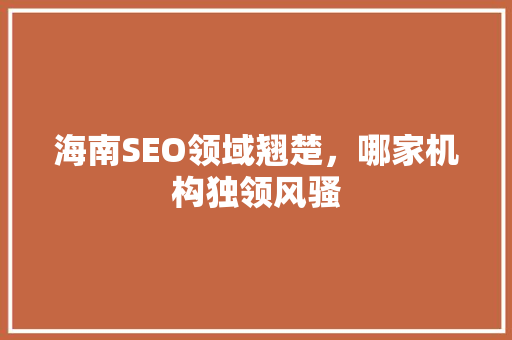 海南SEO领域翘楚，哪家机构独领风骚
