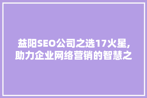 益阳SEO公司之选17火星,助力企业网络营销的智慧之选