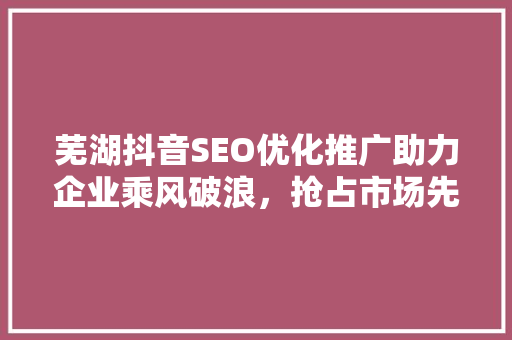 芜湖抖音SEO优化推广助力企业乘风破浪，抢占市场先机