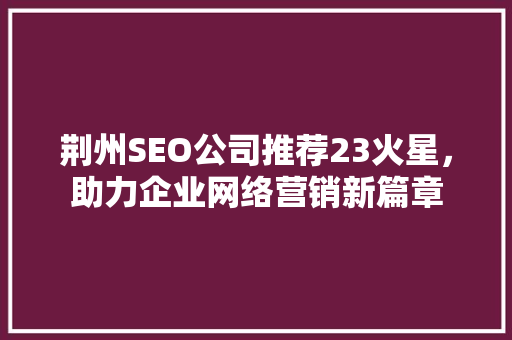 荆州SEO公司推荐23火星，助力企业网络营销新篇章