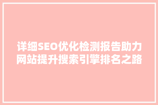 详细SEO优化检测报告助力网站提升搜索引擎排名之路