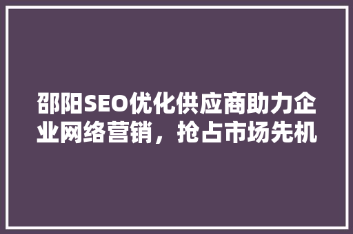 邵阳SEO优化供应商助力企业网络营销，抢占市场先机
