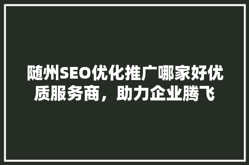 随州SEO优化推广哪家好优质服务商，助力企业腾飞
