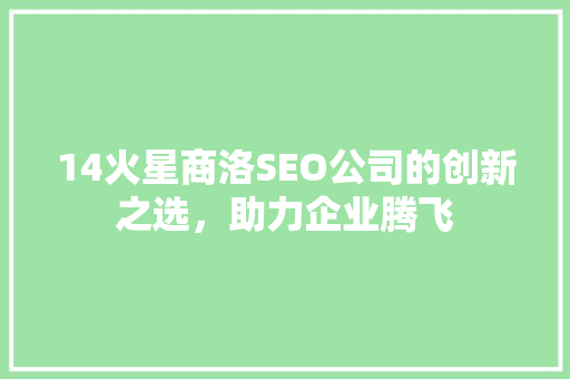 14火星商洛SEO公司的创新之选，助力企业腾飞