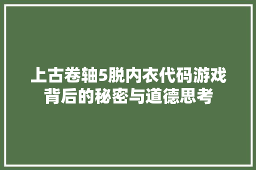 上古卷轴5脱内衣代码游戏背后的秘密与道德思考