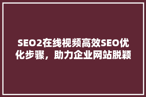 SEO2在线视频高效SEO优化步骤，助力企业网站脱颖而出