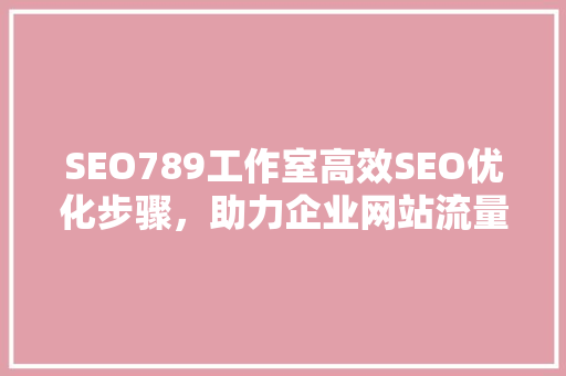 SEO789工作室高效SEO优化步骤，助力企业网站流量飙升