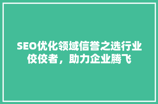 SEO优化领域信誉之选行业佼佼者，助力企业腾飞