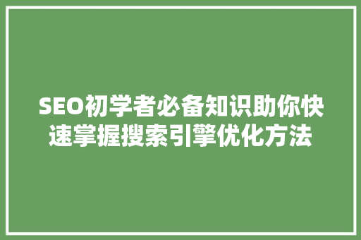 SEO初学者必备知识助你快速掌握搜索引擎优化方法
