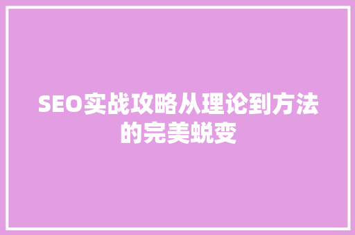 SEO实战攻略从理论到方法的完美蜕变
