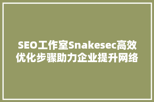 SEO工作室Snakesec高效优化步骤助力企业提升网络影响力