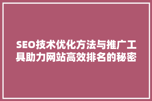 SEO技术优化方法与推广工具助力网站高效排名的秘密武器