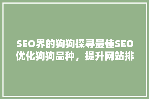 SEO界的狗狗探寻最佳SEO优化狗狗品种，提升网站排名