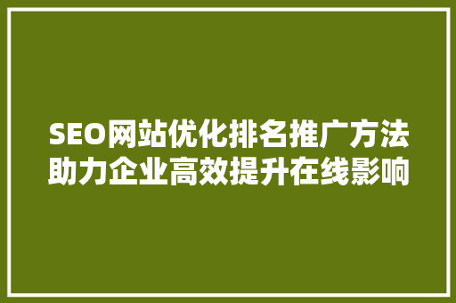 SEO网站优化排名推广方法助力企业高效提升在线影响力