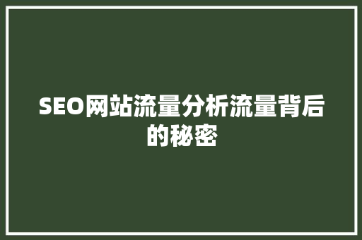 SEO网站流量分析流量背后的秘密