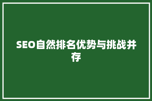 SEO自然排名优势与挑战并存