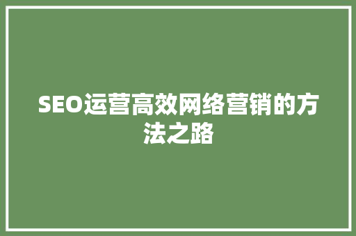 SEO运营高效网络营销的方法之路