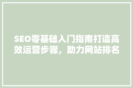 SEO零基础入门指南打造高效运营步骤，助力网站排名攀升