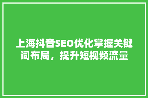上海抖音SEO优化掌握关键词布局，提升短视频流量
