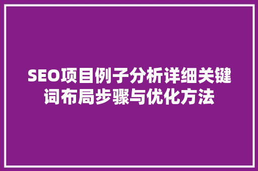 SEO项目例子分析详细关键词布局步骤与优化方法