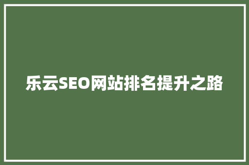 乐云SEO网站排名提升之路