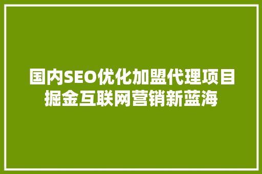 国内SEO优化加盟代理项目掘金互联网营销新蓝海