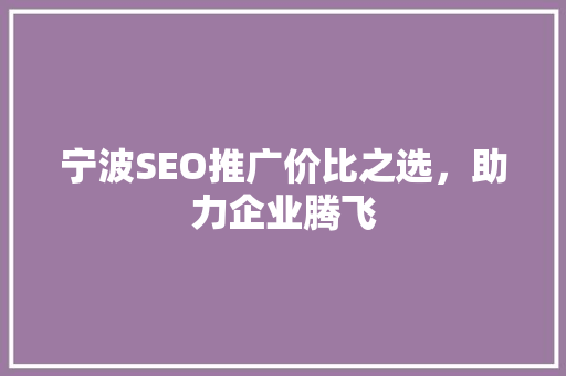 宁波SEO推广价比之选，助力企业腾飞