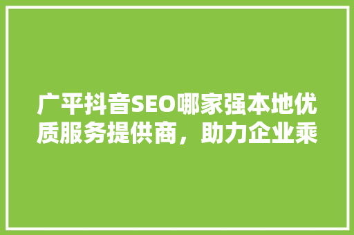 广平抖音SEO哪家强本地优质服务提供商，助力企业乘风破浪