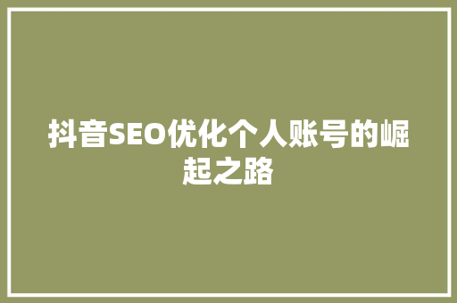 抖音SEO优化个人账号的崛起之路