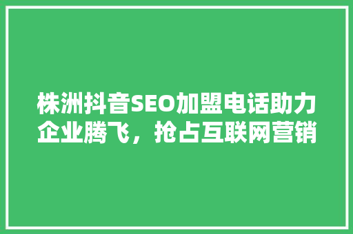 株洲抖音SEO加盟电话助力企业腾飞，抢占互联网营销新高地