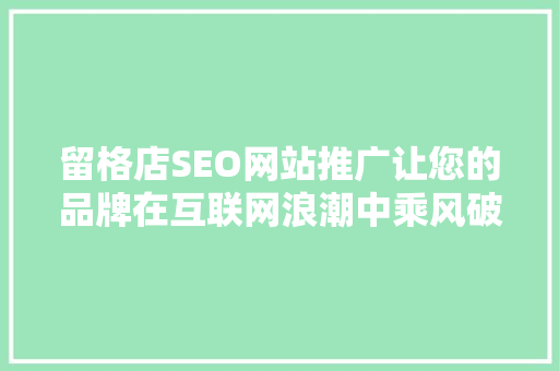 留格店SEO网站推广让您的品牌在互联网浪潮中乘风破浪