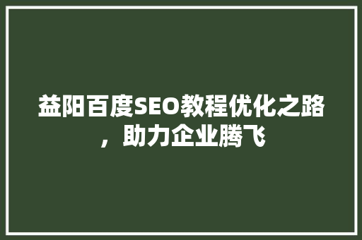 益阳百度SEO教程优化之路，助力企业腾飞
