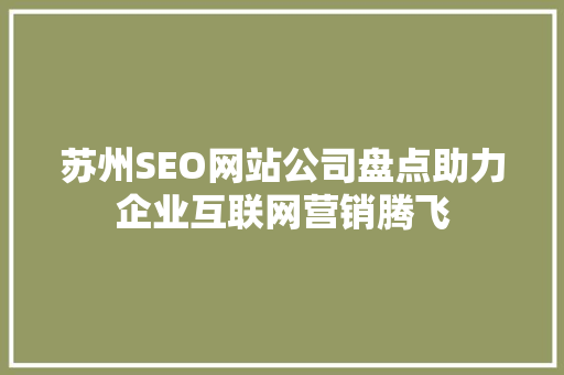 苏州SEO网站公司盘点助力企业互联网营销腾飞