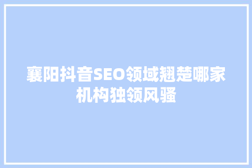 襄阳抖音SEO领域翘楚哪家机构独领风骚