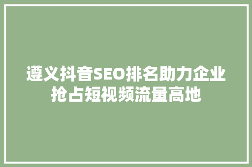 遵义抖音SEO排名助力企业抢占短视频流量高地