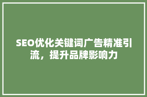 SEO优化关键词广告精准引流，提升品牌影响力