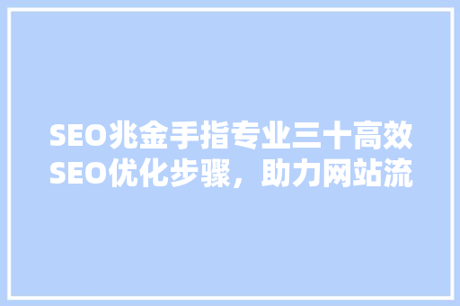 SEO兆金手指专业三十高效SEO优化步骤，助力网站流量飙升