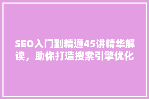 SEO入门到精通45讲精华解读，助你打造搜索引擎优化高手