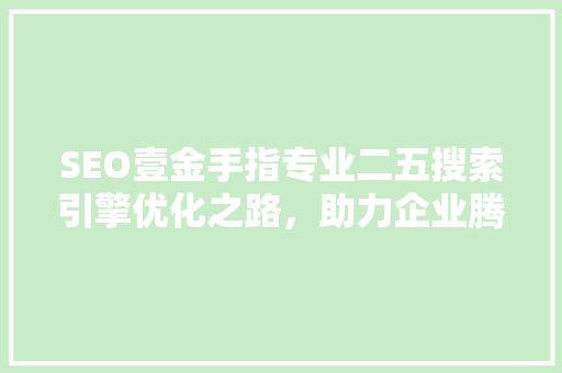 SEO壹金手指专业二五搜索引擎优化之路，助力企业腾飞