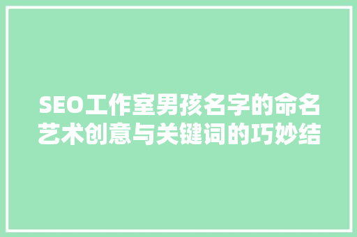 SEO工作室男孩名字的命名艺术创意与关键词的巧妙结合