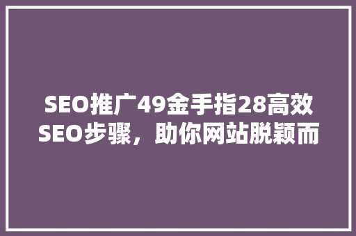 SEO推广49金手指28高效SEO步骤，助你网站脱颖而出