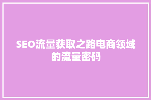 SEO流量获取之路电商领域的流量密码