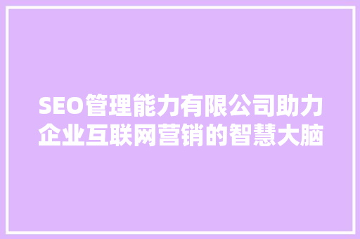 SEO管理能力有限公司助力企业互联网营销的智慧大脑